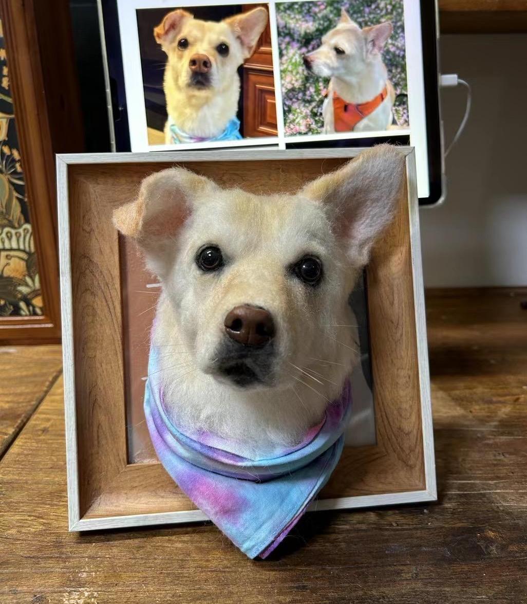 Custom Felted Pet Portrait